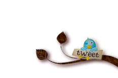 tweet